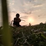 Aldias Nur Riswandi - @aldiasnurriswan - Instagram