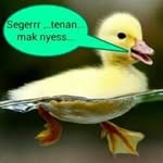 Dick Al - @aldickal - Instagram