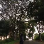 Aldi Putra - @aldittok - Instagram