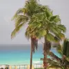 alditullio6 - @alditullio6 - TikTok