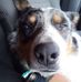 Al William Doane - Facebook