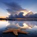 Al Dodds - Facebook