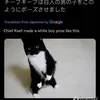 aldoe - @ayylma000 - TikTok