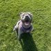 Allan Dolan - Facebook