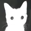 AldoM - @aldom_13 - TikTok
