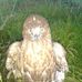 Alan Donato - Facebook