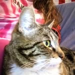 Abby Dooley - @aldooley31 - Instagram