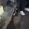 AlexandraDorner - @alexandradorner8776 - TikTok
