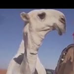 المزاج الصعب - @al.dossery1 - Instagram