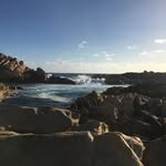 Al Doyle - @aldoyle167 - Instagram