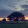 alivia - @aliviadubuc_16 - TikTok