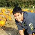 Alex Ducusin - @alex_ducusin - Instagram