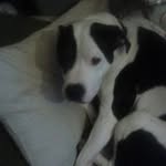 al dulaney - @aldulaney - Instagram