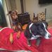 Al Duncan - Facebook