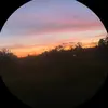 Ali Dunn - @ali.dunn5 - TikTok