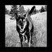 Al Dunning - Facebook