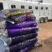 Al Dunning Training Stables - Facebook