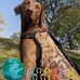 Al Eckert - Facebook