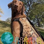 Al Eckert - @dna_upholstery_ - Instagram
