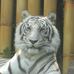 Alan Eckford - Facebook