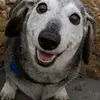 almadoriedmondson - @almadori.edmondson - TikTok