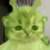 alell - @alellurgf - TikTok