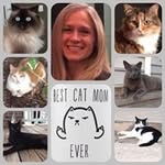 Andrea L. Ellison - @alellison70 - Instagram