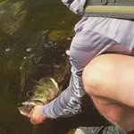 Alex Elmore - @ahhhshooots - Instagram