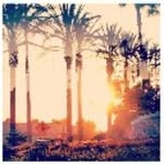 taha_alemery - @taha_alemery2 - Instagram