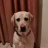 alengel - @alexandraengel792 - TikTok
