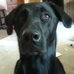 Al Erickson - @jig4eyes - Instagram