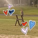 Al Erker - @al.erkermarla007 - Instagram