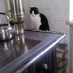 Alessandro Testoni - @alestesto - Instagram