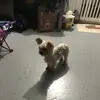 al.estrada1216 - @al.estrada1216 - TikTok