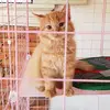 Al Estrella - @al.estrella7 - TikTok