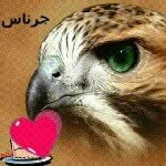 Daved967 - @al_falcon - Instagram