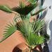 Ribat Al Fallah - Facebook