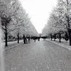 Alex farrow  - @a.farrow - TikTok