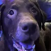 Alfie_farrow - @alfie_farrow - TikTok