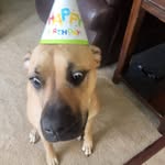 Al Ferrell - @alan.ferrell1967 - Instagram