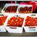 Al Ferri Orchards - Facebook