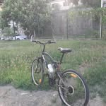Alfield Haliar - @alfieldhaliar - Instagram