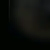 alfiegone. - @alfiegone - TikTok