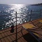 AlexF - @alfitz43 - Instagram