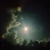 Alfitzzz🕷️ - @alfitzzz - TikTok