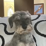Al Fleming - @flabboflemo - Instagram