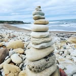 Al Fleming - @fleming.al - Instagram