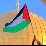 ♣الفلسطيني°__°البرصاوي♣ - @alflisstiini__0_0 - Instagram