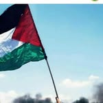 احببببب فلسطين🇵🇸❤❤ - @alflistinia - Instagram