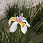 @alfolso_mon04 - Instagram
